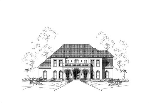 Large Image