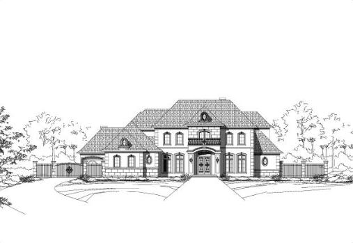 Large Image