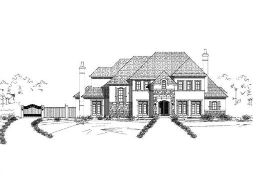 Large Image