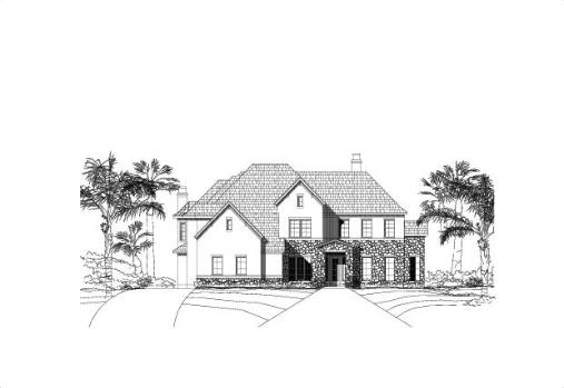 Large Image