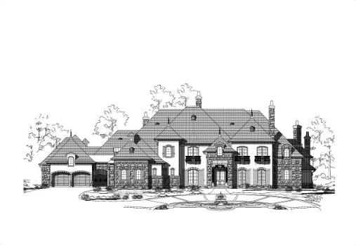 Large Image