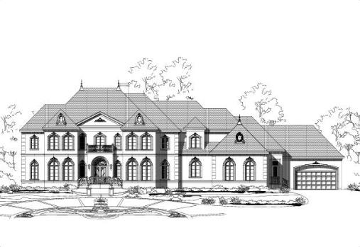 Large Image