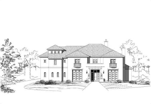 Large Image