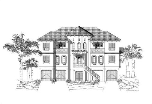 Large Image