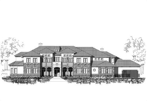Large Image