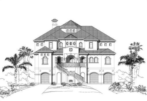 Large Image