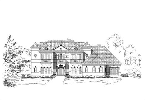 Large Image
