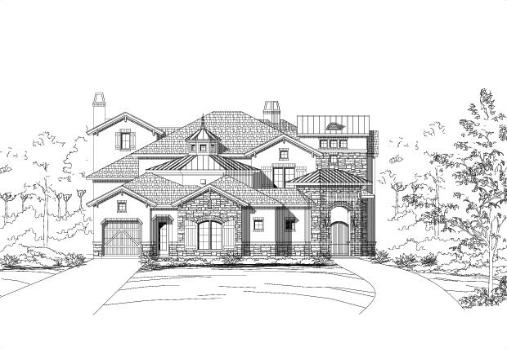 Large Image