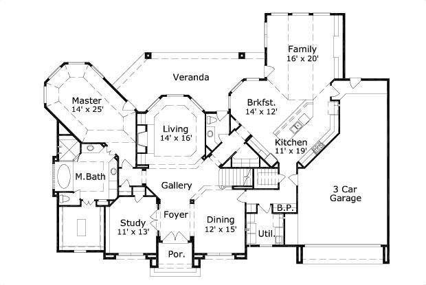 Elevation