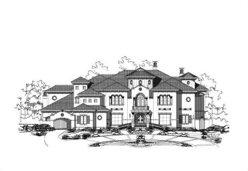 Large Image