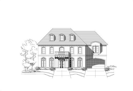 Large Image