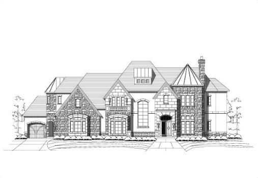 Large Image