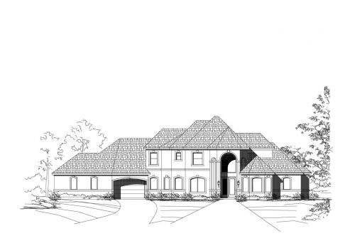 Large Image
