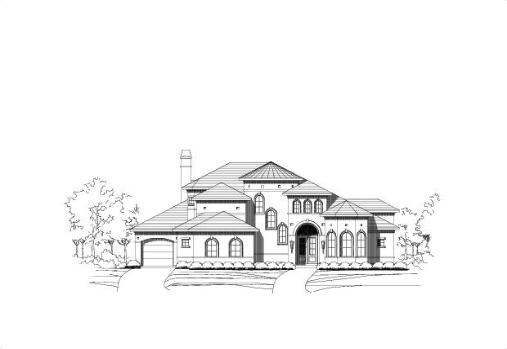 Large Image