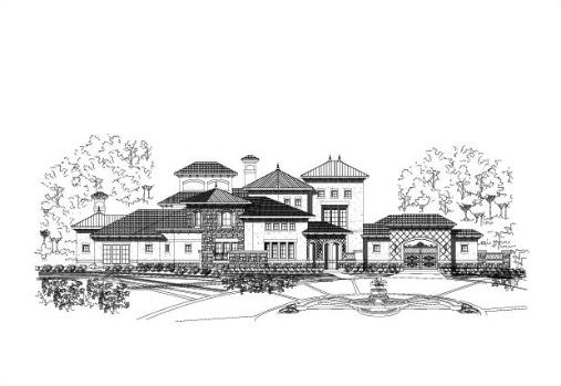 Large Image
