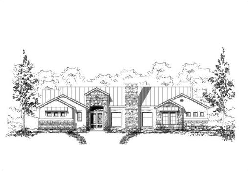Large Image