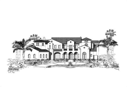 Large Image
